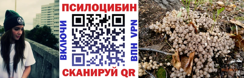 Псилоцибиновые грибы Psilocybe  Белая Холуница 